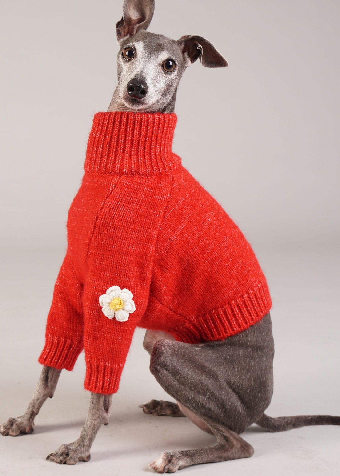 luxury dog wool jumper