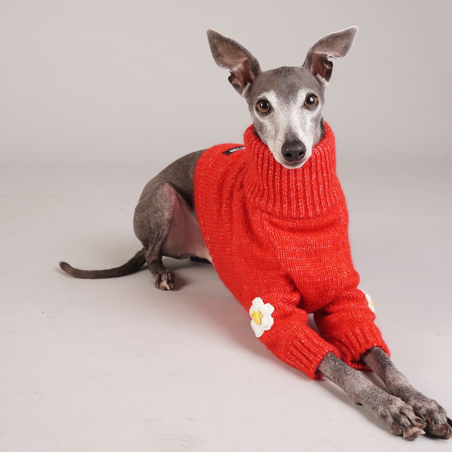 luxury dog wool jumper