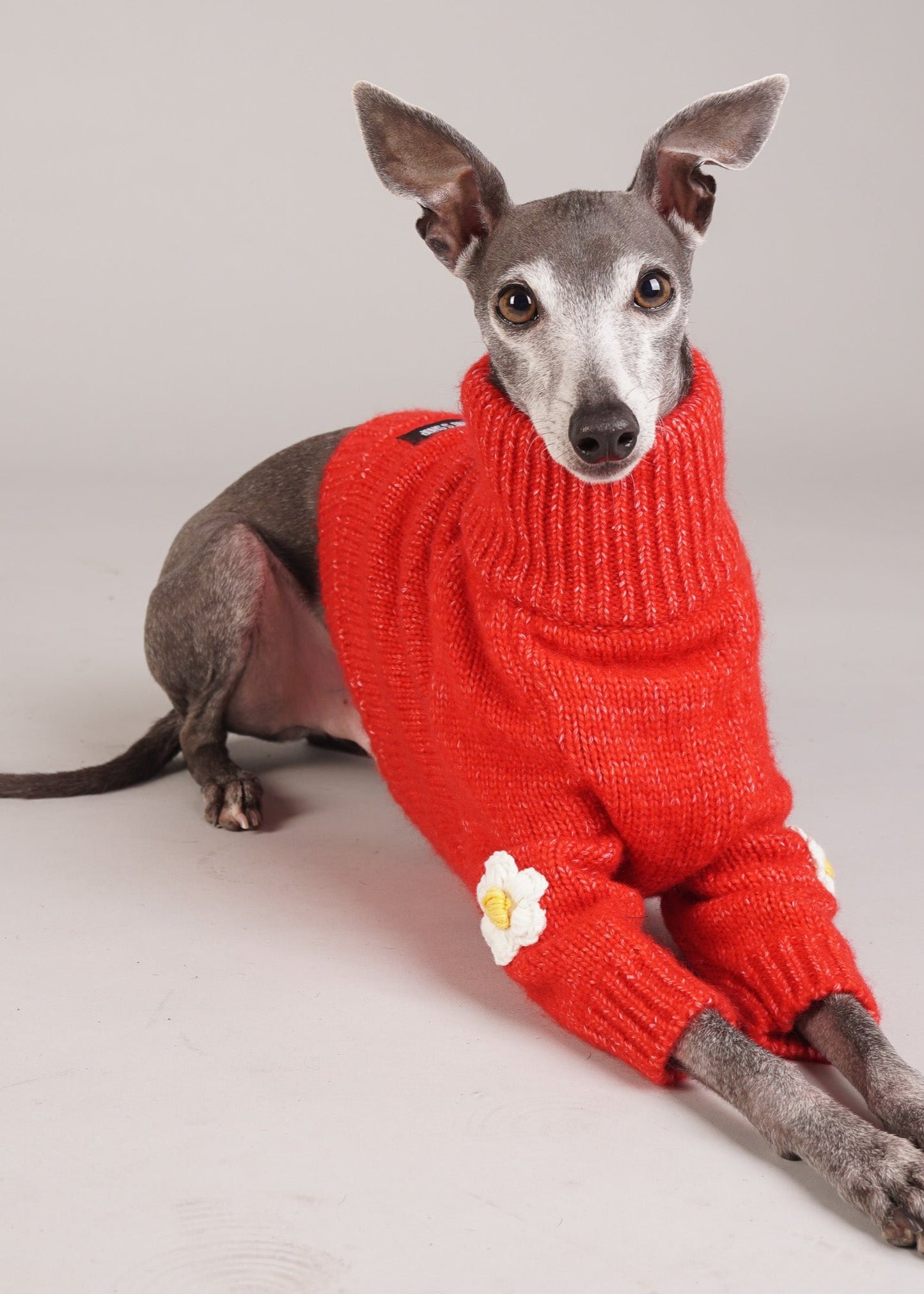 luxury dog wool jumper