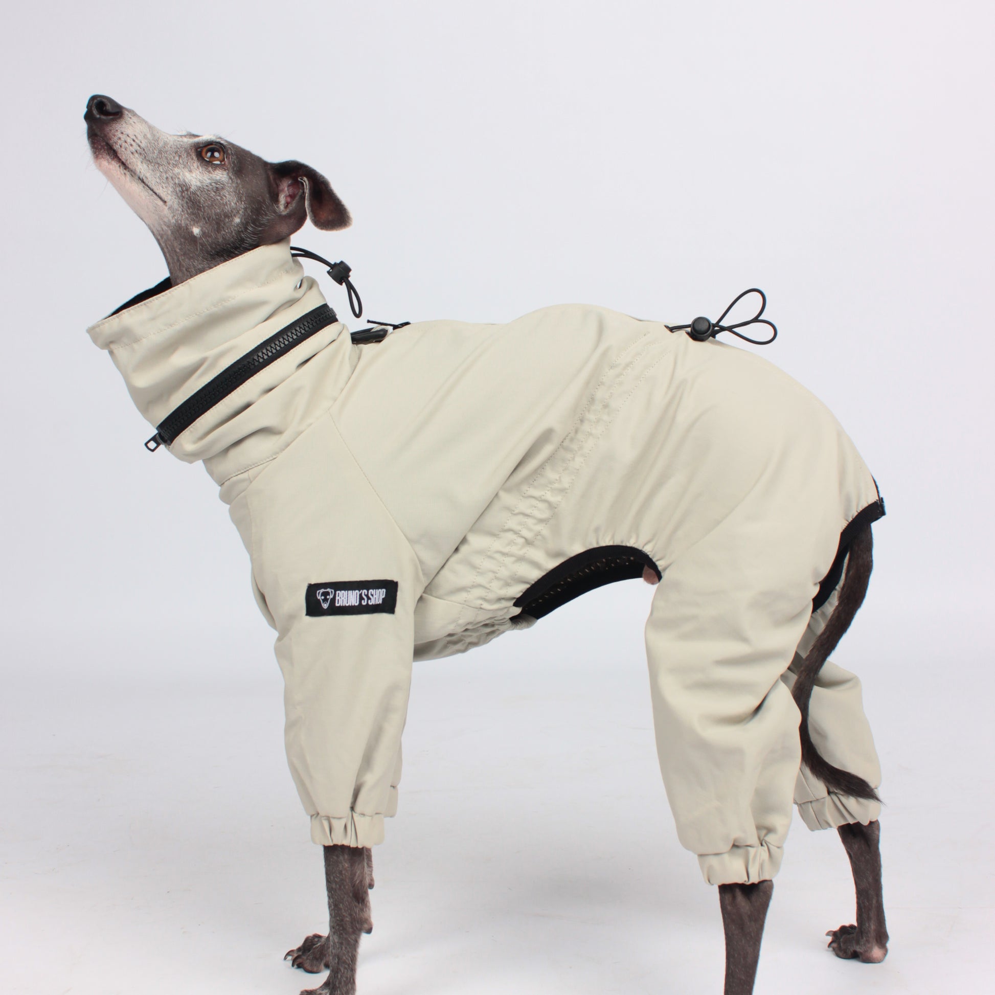 Luxury Italian Greyhound/Whippet clothing, windbreaker, winter coat, water and dirty repellent.