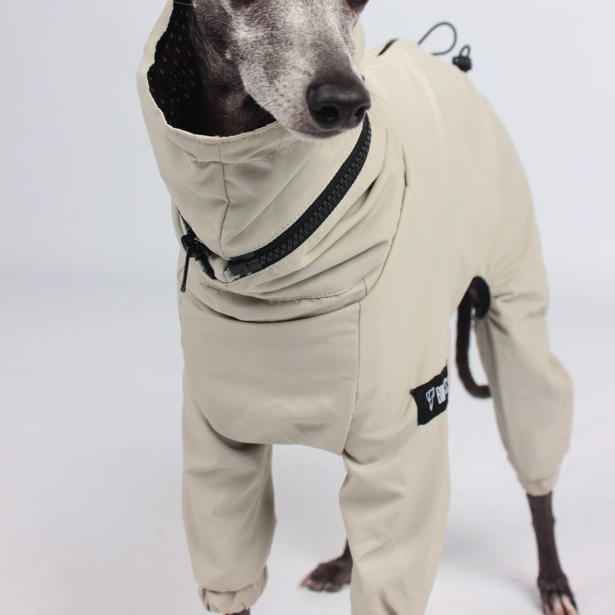 Hurtta best sale whippet coat