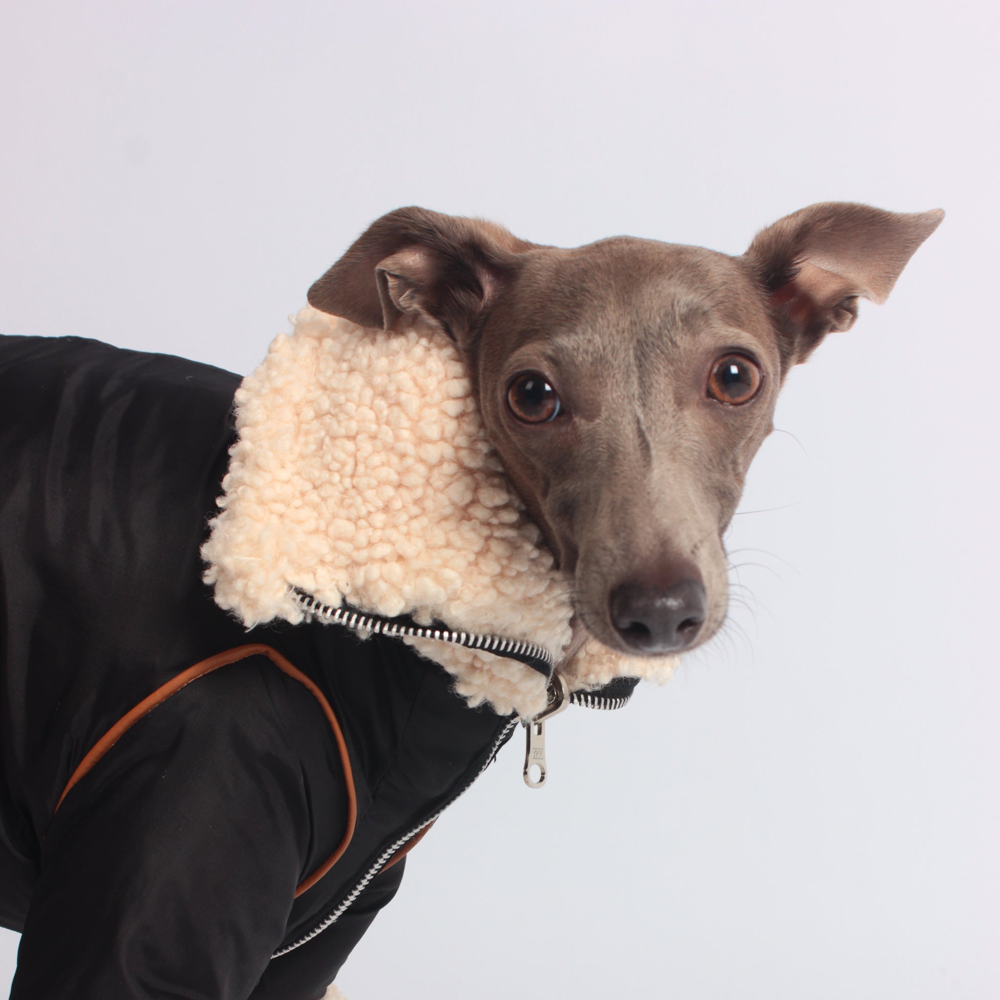 Waterproof coats for outlet whippets