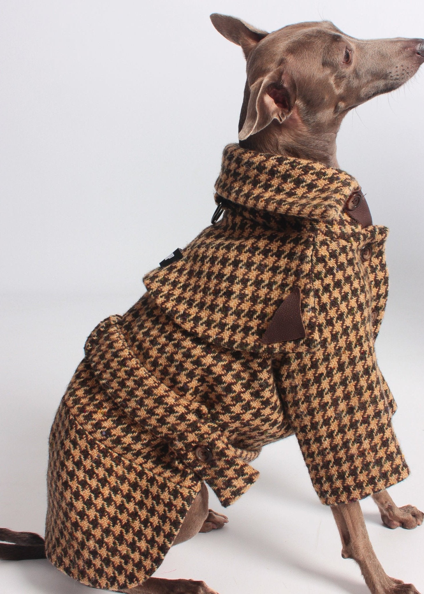 Luxury dog clothing for Italian Greyhounds and Whippets. 100% wool trench coat for iggies.